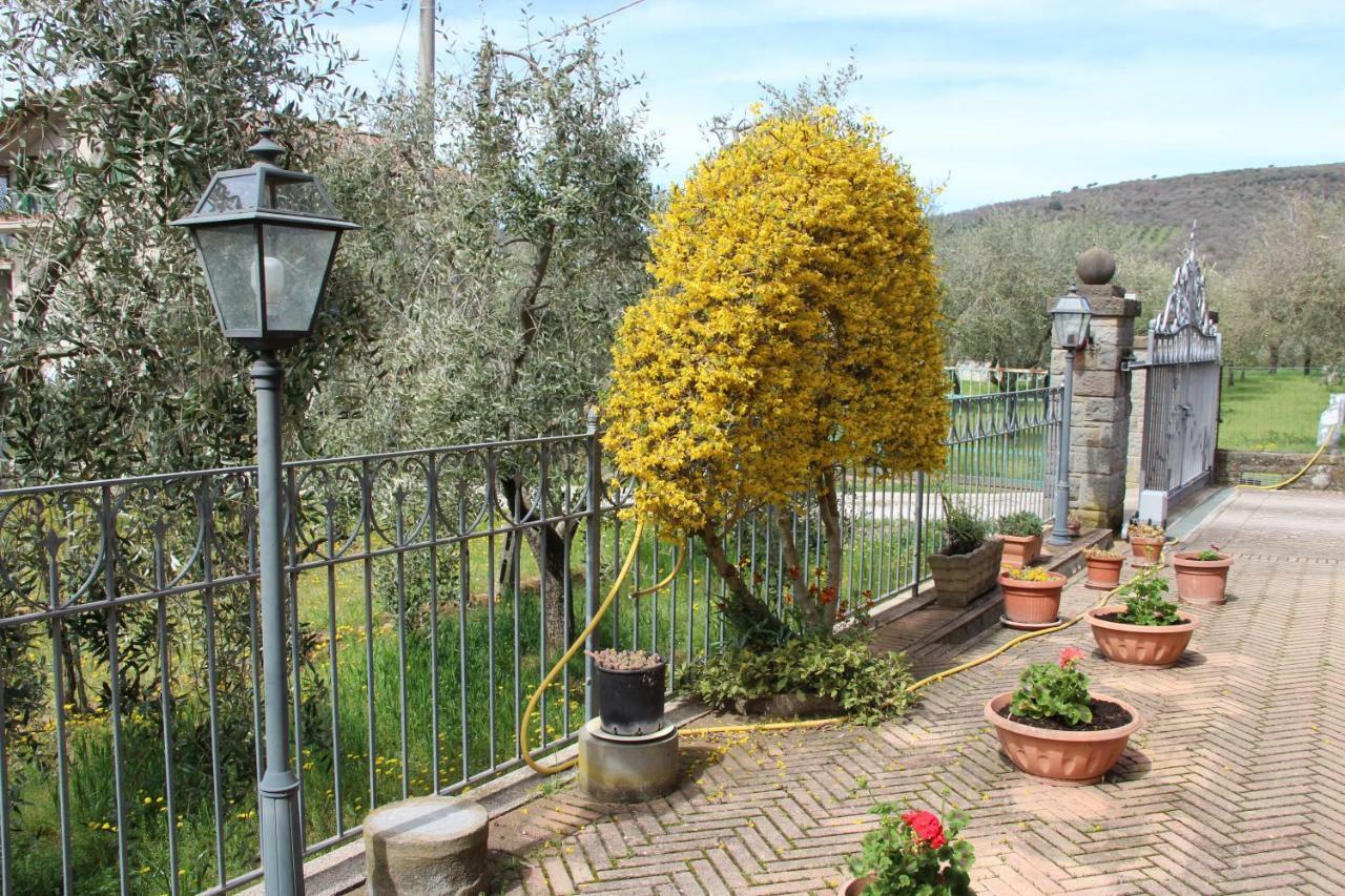 Penzion Le Coccole Del Trasimeno Tuoro sul Trasimeno Exteriér fotografie