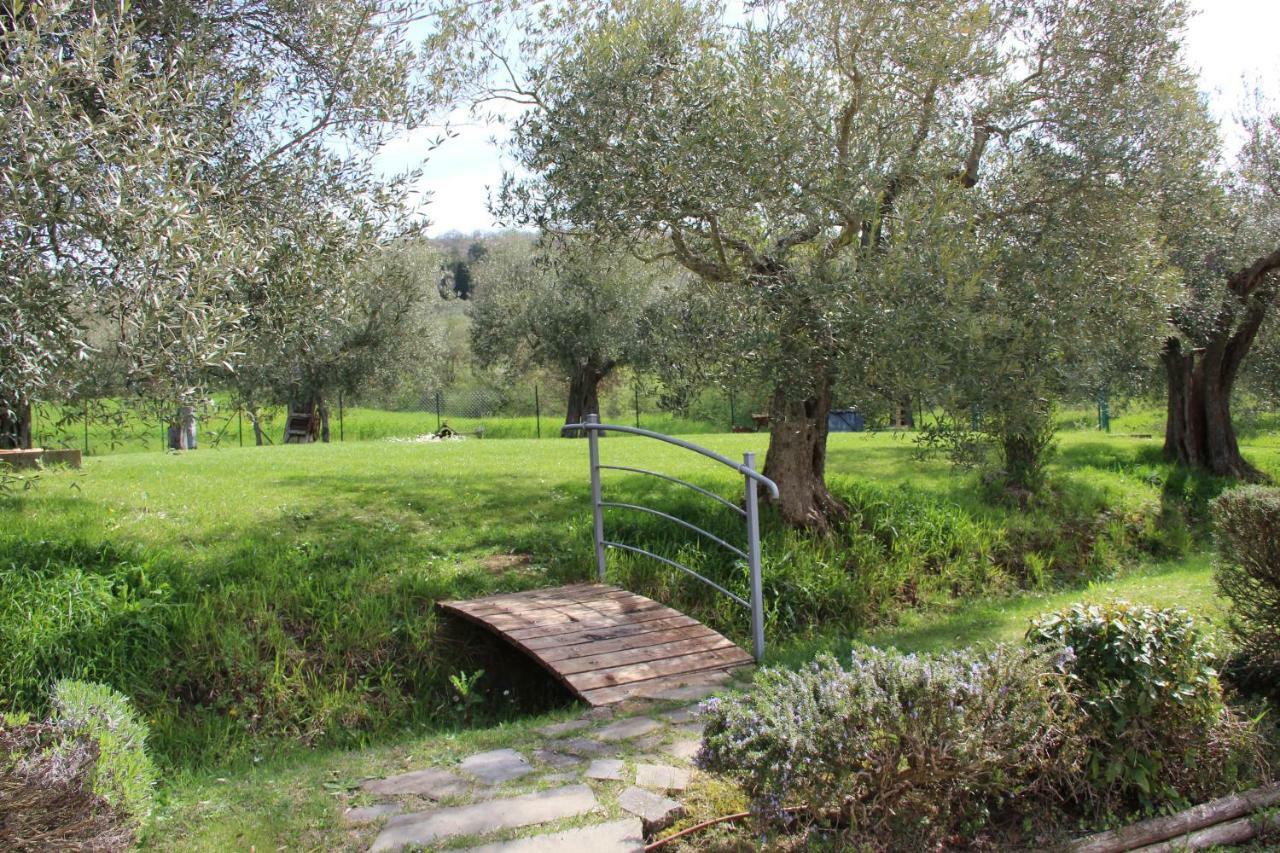 Penzion Le Coccole Del Trasimeno Tuoro sul Trasimeno Exteriér fotografie