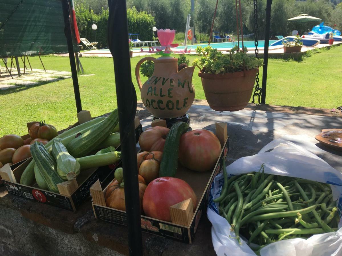 Penzion Le Coccole Del Trasimeno Tuoro sul Trasimeno Exteriér fotografie
