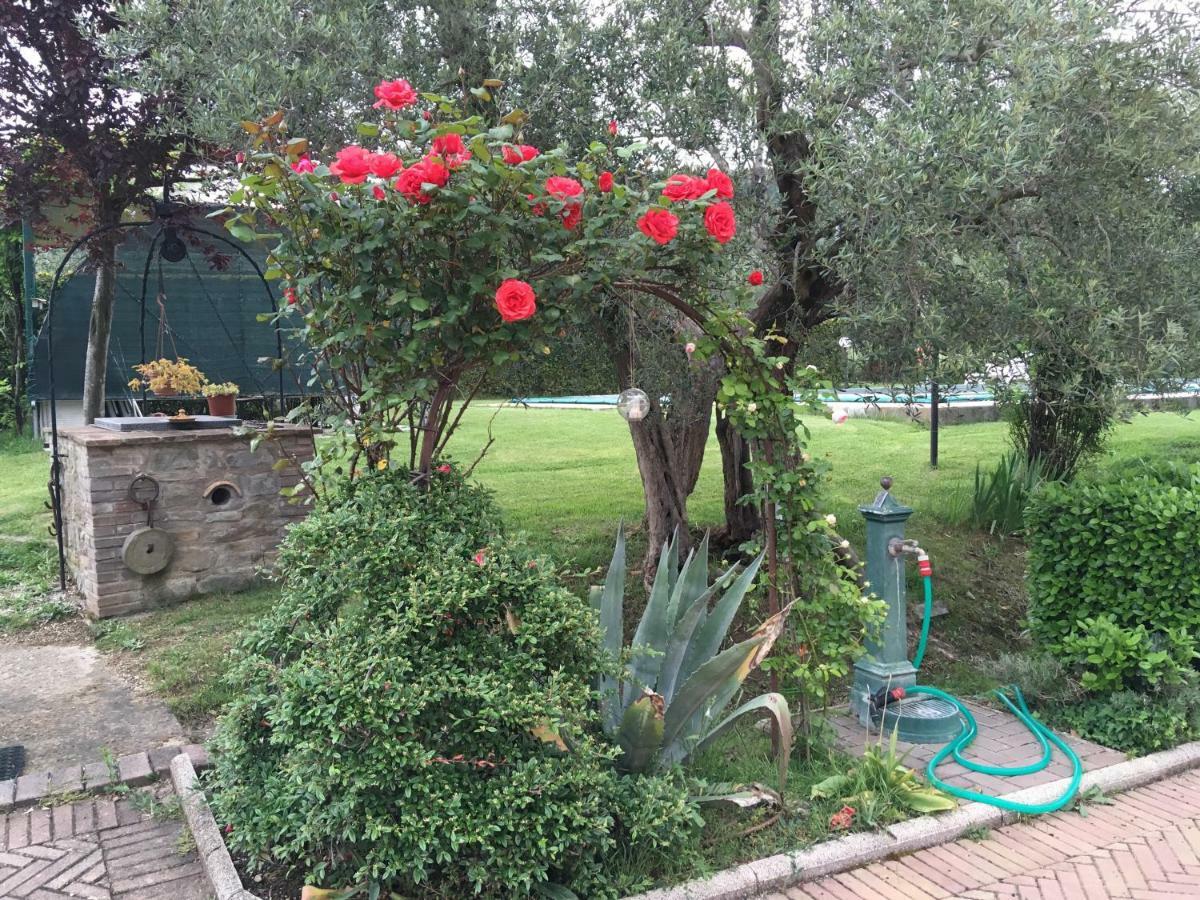 Penzion Le Coccole Del Trasimeno Tuoro sul Trasimeno Exteriér fotografie