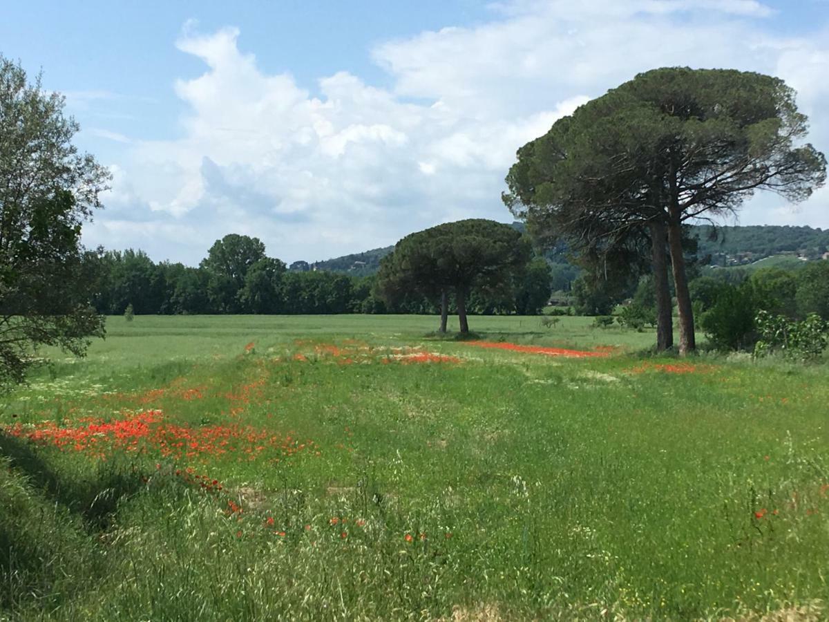 Penzion Le Coccole Del Trasimeno Tuoro sul Trasimeno Exteriér fotografie